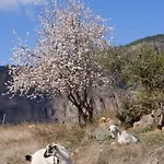 Casa Guayasen * クルス・デ・テヘーダ