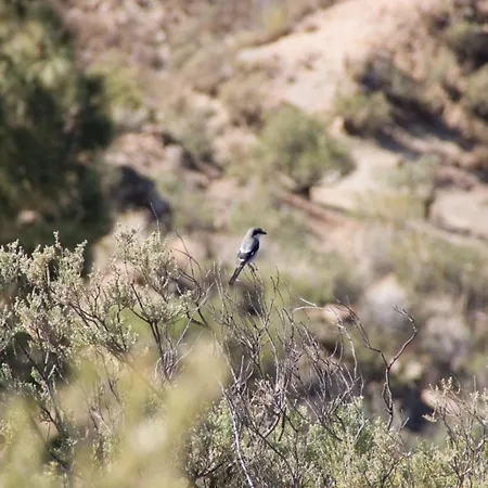 Nyaraló Casa Guayasen *