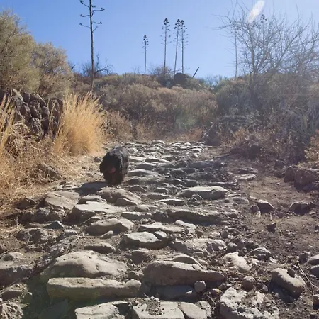 Nyaraló Casa Guayasen *